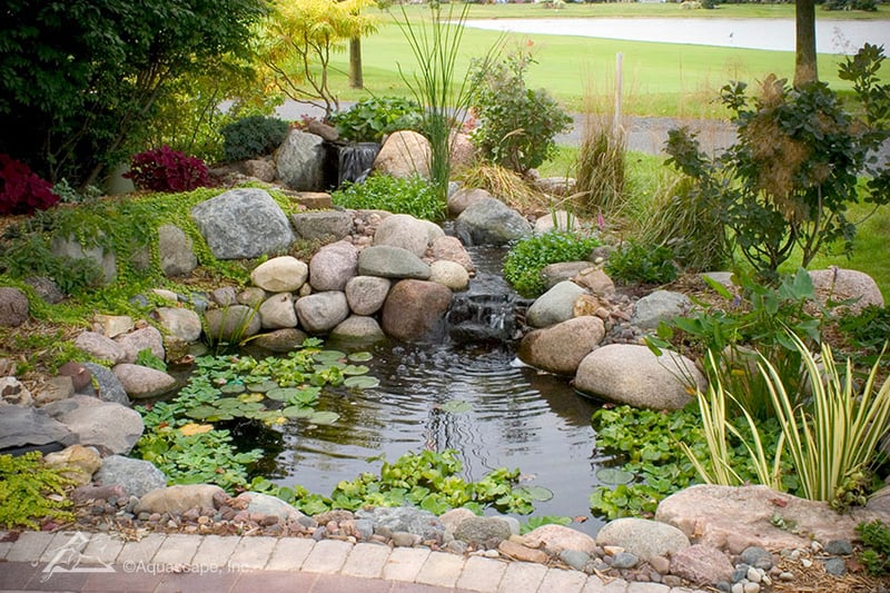 Koi Ponds & Water Gardens preview 2